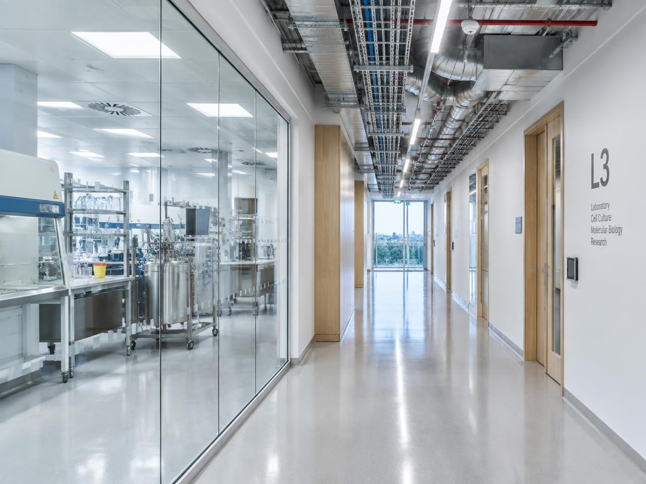 Modern life-sciences laboratory corridor with exposed ventilation ducts, cable trays and technical services installations